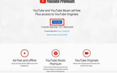 在苹果手机后台播放YouTube视频，而无需打开应用程序