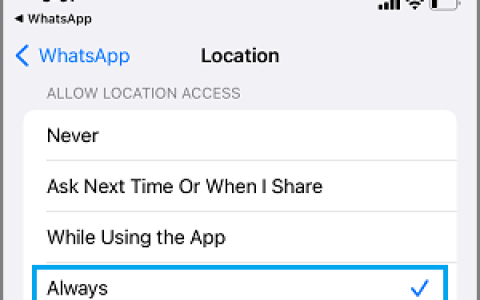 如何在WhatsApp iPhone和安卓上共享实时位置