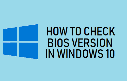 检查 Windows 10 中的 BIOS 版本