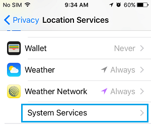 iPhone 定位服务屏幕上的系统服务选项卡