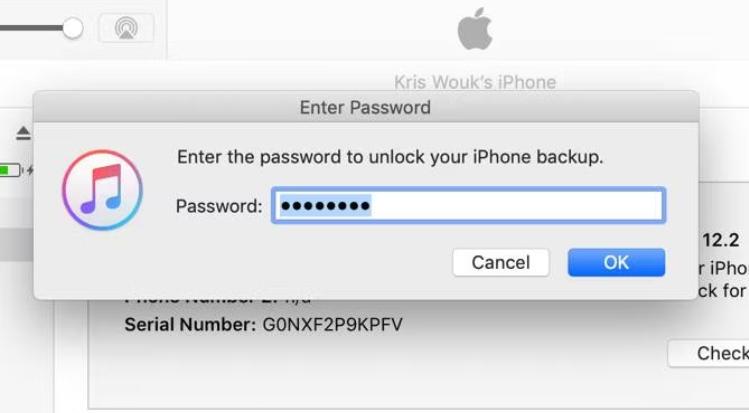 忘记了您的苹果手机备份密码？这是你可以做的