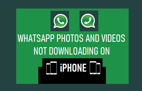 WhatsApp 照片和视频无法在 iPhone 上下载