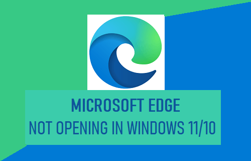 Microsoft Edge 无法在 Windows 中打开