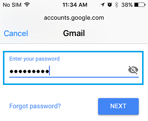 输入 Gmail 密码