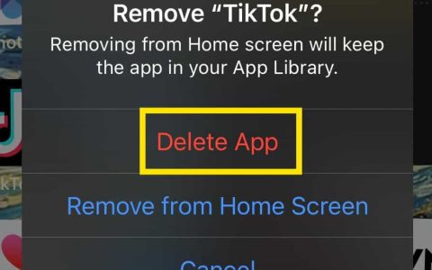 如何删除TikTok应用程序，停用TikTok帐户然后“删除帐户”