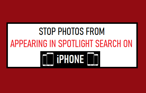 防止照片出现在 iPhone 上的 Spotlight 搜索中