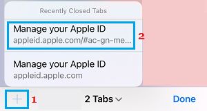 在 iPhone 上的 Safari 浏览器中打开最近关闭的标签页