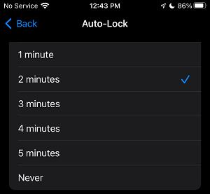 在 iPhone 上选择屏幕自动锁定周期