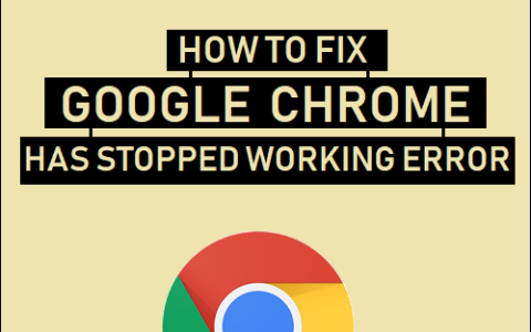chrome无法运行怎么办，谷歌浏览器已停止工作修复