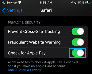 在 iPhone 上的 Safari 中启用 Apple Pay 检查