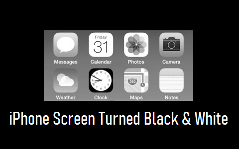 苹果手机屏幕变成黑白怎么办，iPhone屏幕变色修复