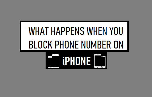 当您在 iPhone 上屏蔽电话号码时会发生什么