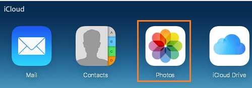 iCloud 中的照片选项卡