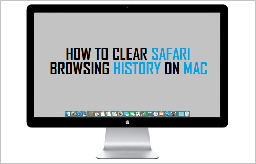 清除 Mac 上的 Safari 浏览历史记录