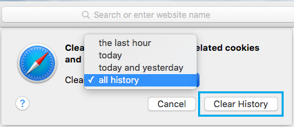 清除 Mac 上的所有 Safari 浏览历史选项