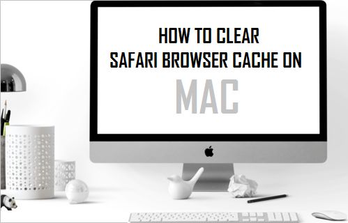 在 Mac 上清除 Safari 浏览器缓存