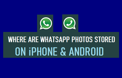 WhatsApp 照片存储在 iPhone 和 Android 上的什么位置