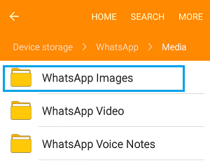 Android 手机上的 WhatsApp 图片文件夹