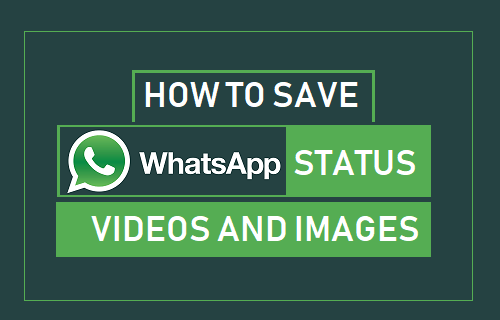 保存 WhatsApp 状态视频和图像