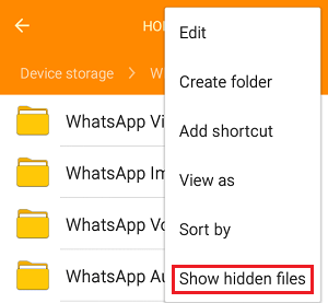 在文件管理器中显示隐藏文件选项