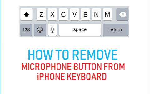 如何从iPhone键盘上移除麦克风按钮