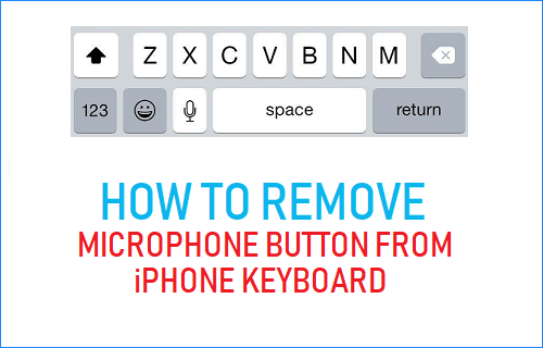 从 iPhone 键盘上移除麦克风按钮