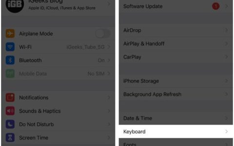 如何从苹果手机和iPad删除键盘上麦克风图标