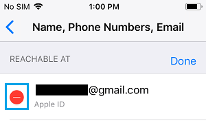 删除 iPhone 上的 Apple ID 电子邮件选项