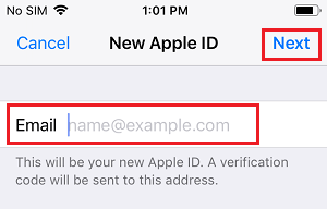 在 iPhone 上输入新的 Apple ID 电子邮件地址