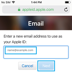 输入新的 Apple ID 电子邮件地址