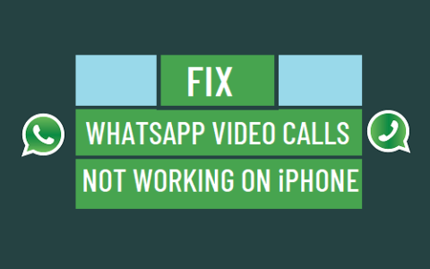 修复：WhatsApp视频通话在iPhone用不了