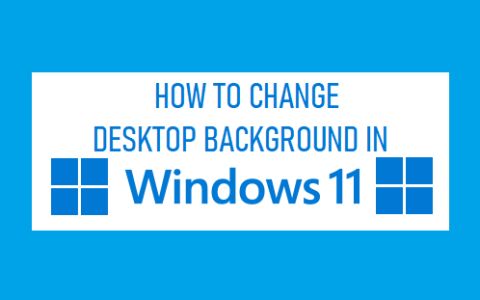 如何在Windows11中更改桌面背景，简单步骤