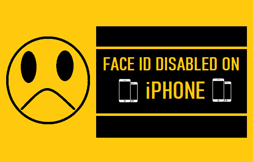 iPhone 上的面容 ID 已禁用