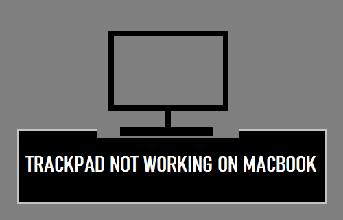 触控板在 MacBook 上不工作