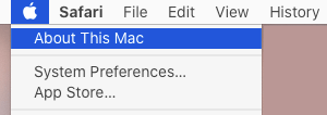关于 Mac 上的此 Mac 选项