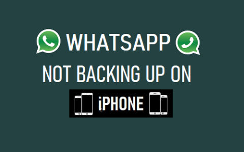 WhatsApp不在iPhone上备份：如何修复？