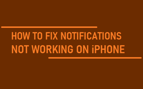 通知在iPhone上不起作用：如何修复？
