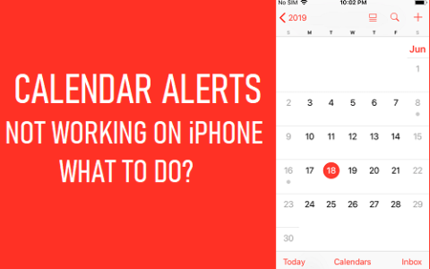 日历提醒在iPhone上不起作用：怎么办？