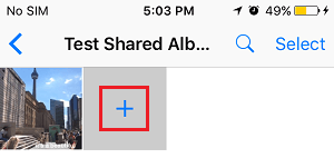 在 iPhone 上将照片添加到 iCloud 共享相册