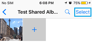 选择要从 iCloud 共享相册中删除的照片