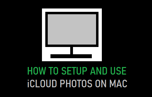 在 Mac 上设置和使用 iCloud 照片
