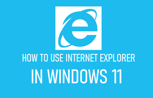 在 Windows 11 中使用 Internet Explorer