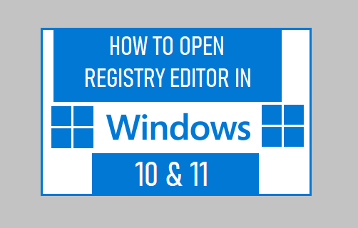 在 Windows 10 和 11 中打开注册表编辑器