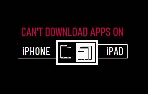 无法在 iPhone 或 iPad 上下载应用程序