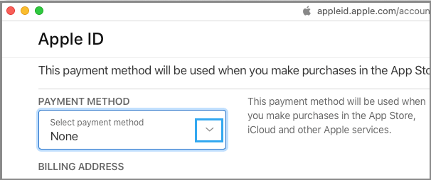 在 Apple ID 屏幕上选择“无”作为付款方式