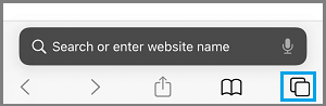 Safari 隐私浏览模式下的页面图标