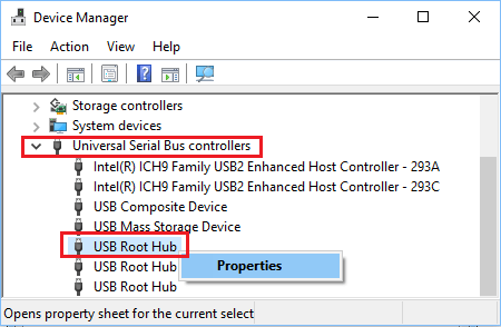 Windows 10 中的 USB Root HUB 属性选项