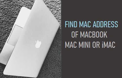 查找 MacBook、Mac Mini 或 iMac 的 MAC 地址