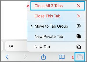 关闭 iPhone 上的所有 Safari 标签页