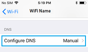 在 iPhone 上配置 DNS 设置选项